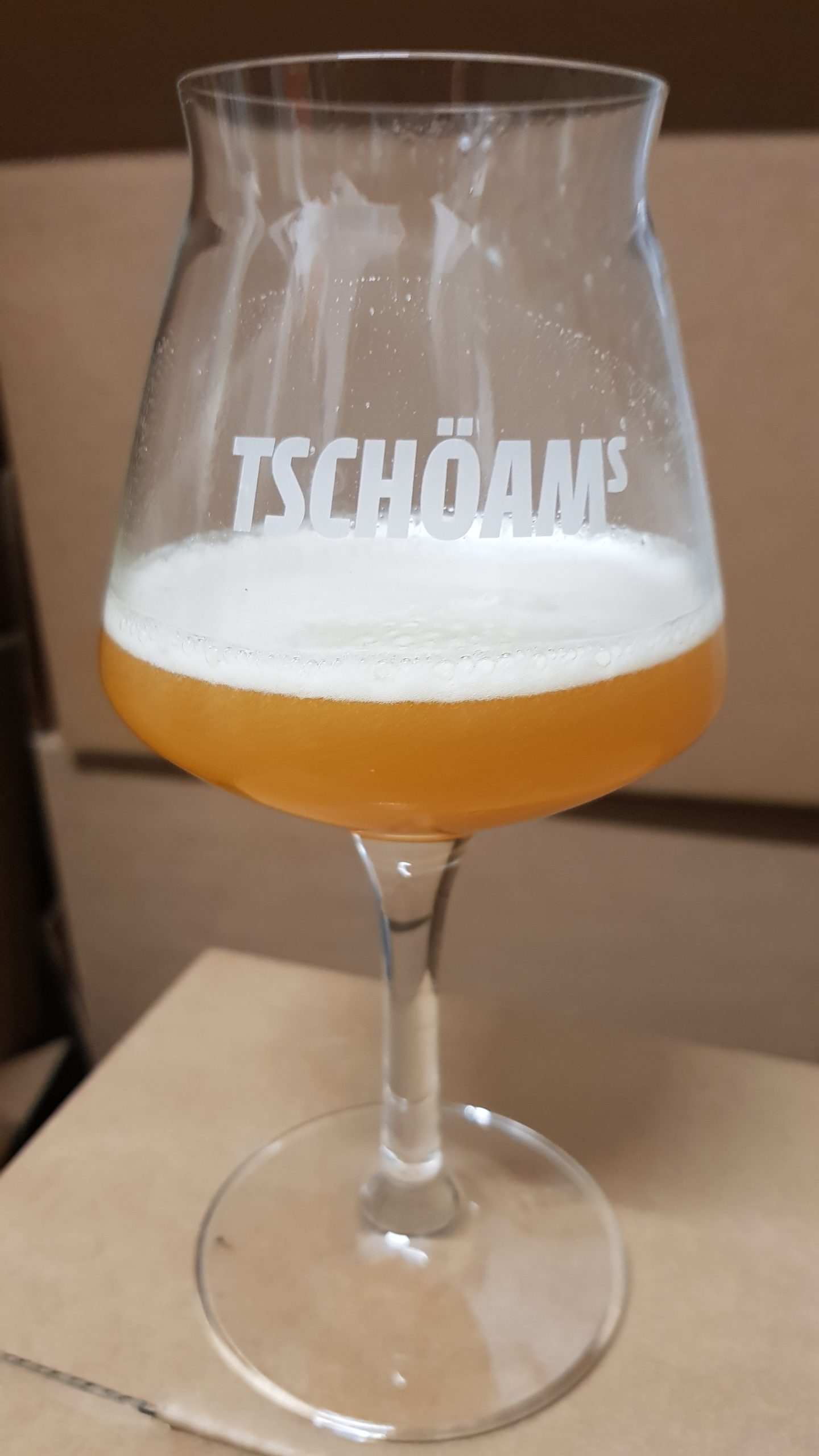 2020 10 29 CITRA PALE ALE in der Flasche